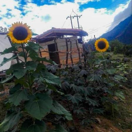 Hostal Las Valkirias Matanza Dış mekan fotoğraf