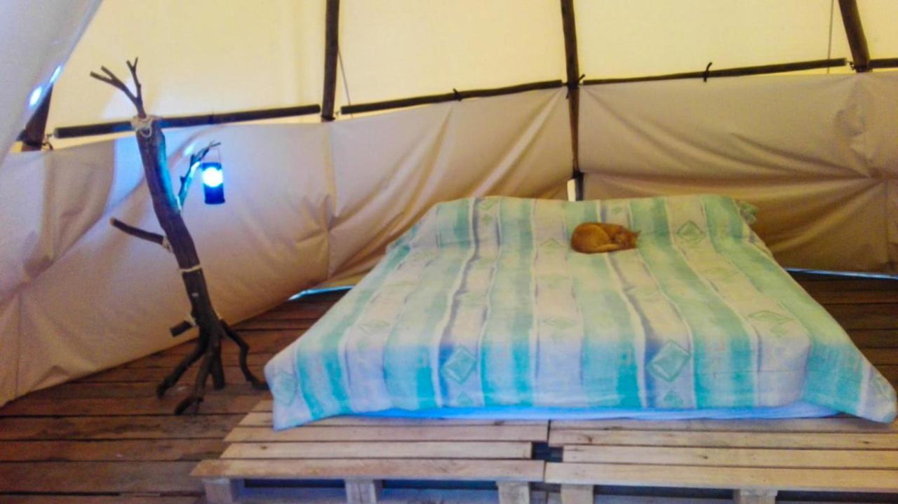 Hostal Las Valkirias Matanza Dış mekan fotoğraf